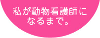 わたしが動物看護師になるまで。