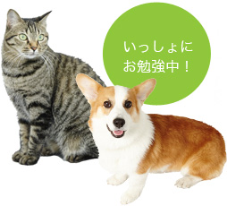 いっしょにお勉強中!