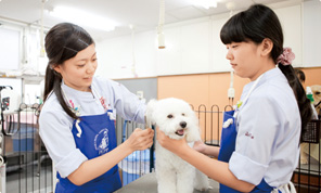 手術の様子