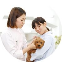 動物看護経験者のもとで学ぶ