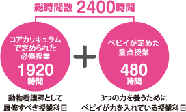 動物看護師として履修すべき「定められた必修科目」と「ペピイが定めた重点授業」の合計2400時間の教育を行います。