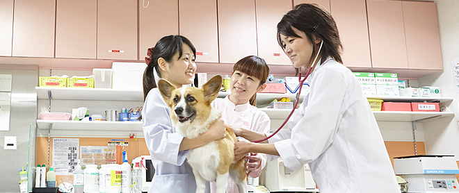 実習の様子