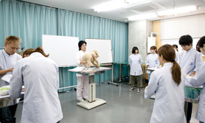 臨床実験室内観