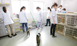 猫舎内観