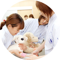 ぬいぐるみで実習する学生