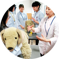 普段はぬいぐるみを使った授業