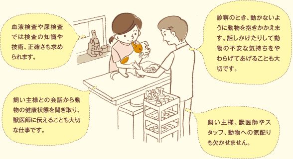 動物看護師の仕事の図