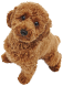 犬