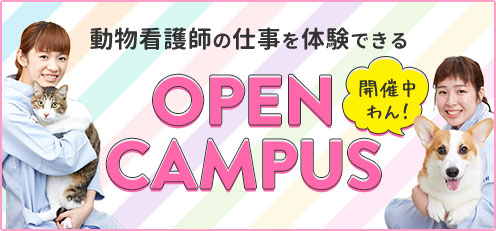 動物看護師の仕事を体験できるOPENCAMPUS