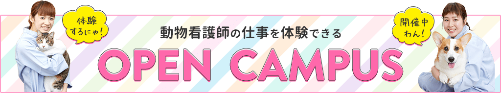 動物看護師の仕事を体験できるOPENCAMPUS