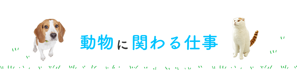 動物に関わる仕事