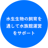 水生生物の飼育を通して水族館運営をサポート
