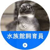 水族館飼育員