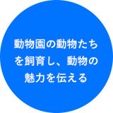 動物園の動物たちを飼育し、動物の魅力を伝える