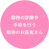 動物の診療や手術を行う動物のお医者さん