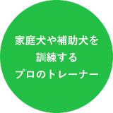 家庭犬や補助犬を訓練するプロのトレーナー