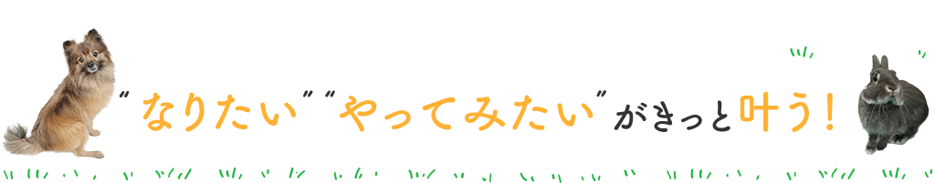 なりたいやってみたいがきっと叶う！