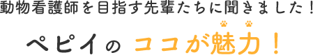 ペピイの ココが魅力！