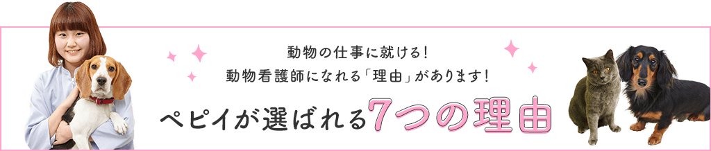 ペピイが選ばれる７つの理由