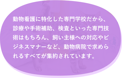 動物看護に特化した専門学校だから、診療や手術補助、検査といった専門技術はもちろん、飼い主様への対応やビジネスマナーなど、動物病院で求められるすべてが集約されています。