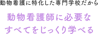 動物看護師に必要なすべてをじっくり学べる