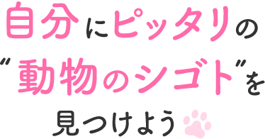 自分にビッタリの'動物のシゴト'を見つけよう