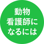 動物看護師になるには