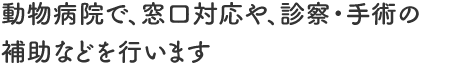 動物病院で、窓口対応や、診察・手術の補助などを行います