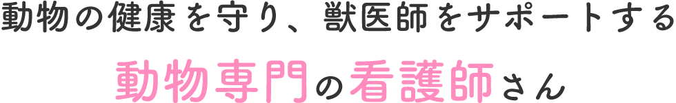 動物の健康を守り、獣医師をサポートする動物専門の看護師さん