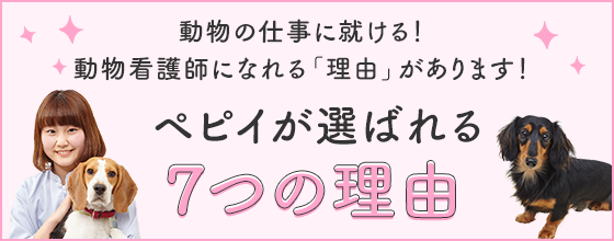 ペピイが選ばれる７つの理由