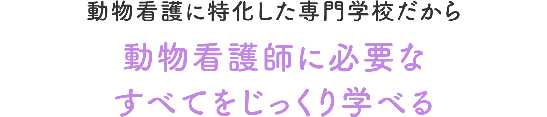 動物看護師に必要なすべてをじっくり学べる