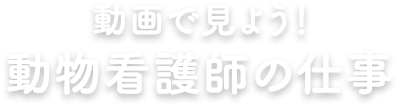 動画で見よう！動物看護師のしごと