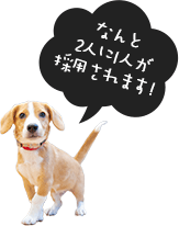 なんと2人に1人が採用されます！