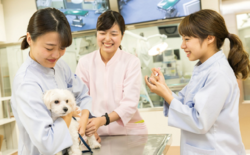 多くの動物とつながっていること。