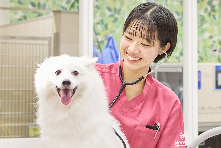 愛玩動物看護師になろう - 大阪ペピイ動物看護専門学校