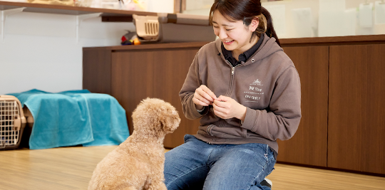 動物に関わる仕事図鑑