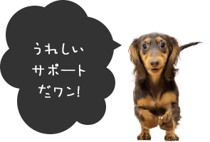 うれしいサポートだワン!