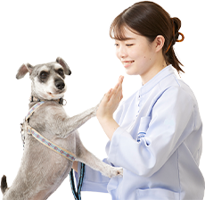 入学に関するご相談・お問い合わせはお気軽に