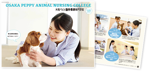 大阪ペピイ パンフレット