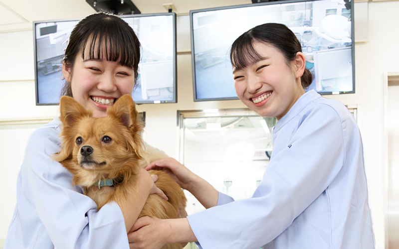 国家資格・愛玩動物看護師の取得をめざす学びに!