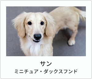 陸奥