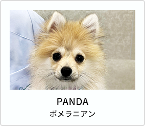 大和