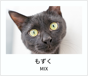 メントス