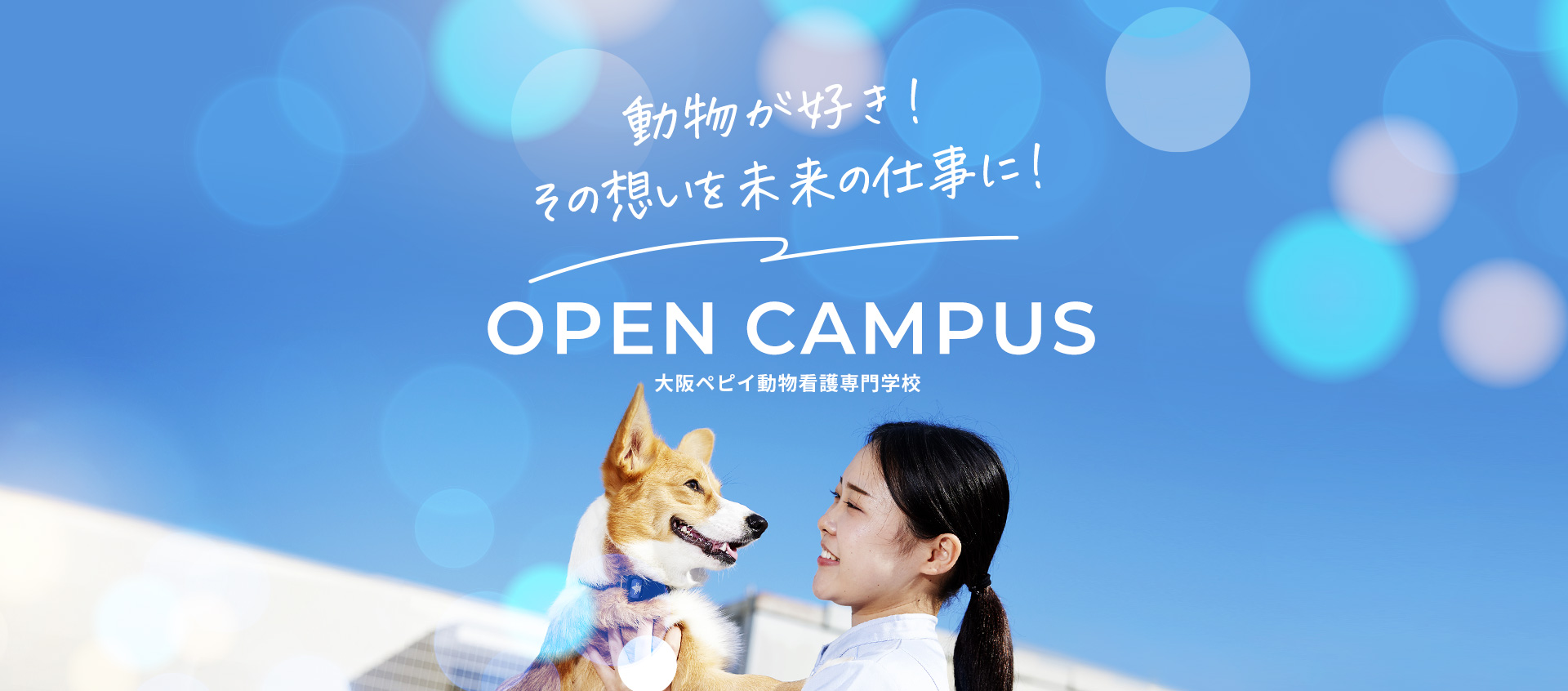 OpenCumpus 大阪ペピイ動物看護専門学校
