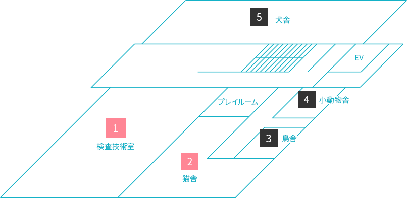 第1校舎5階のフロアマップ