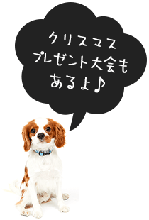クリスマスプレゼント大会もあるよ！