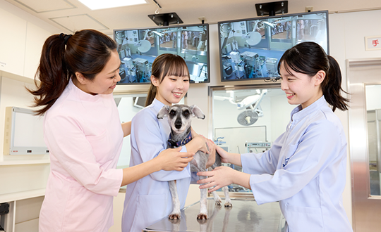 1日まるごと体験風景