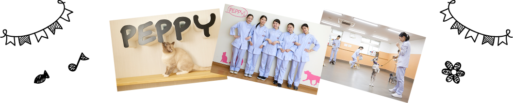 スプリングスペシャル