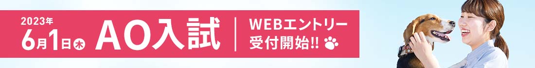 2022年6月1日 水 AO入試 WEBエントリー受付開始