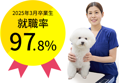 2024年3月卒 就職率97%